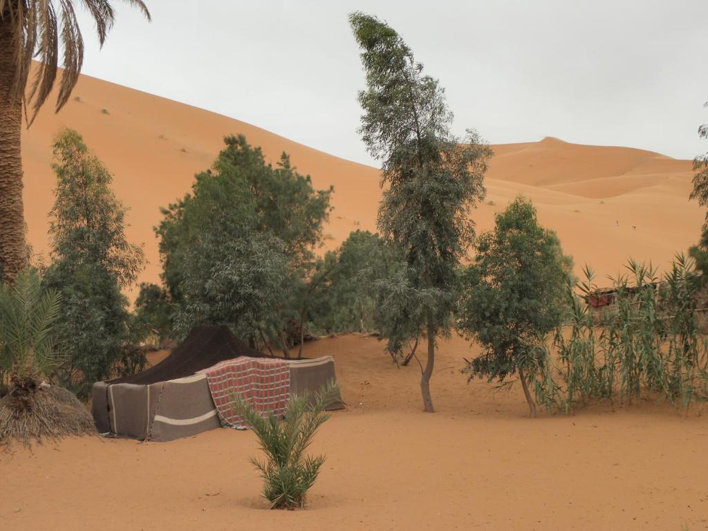 Chez Tonton Hotell Merzouga Exteriör bild